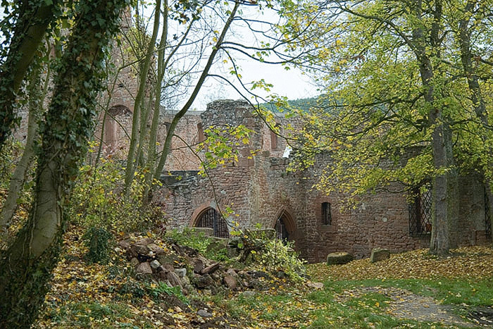 Klosterruine-Limburg