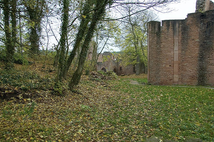 Klosterruine-Limburg4211