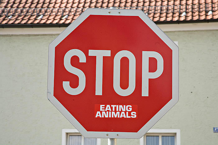 Stop Eating Animals Roding Kopie