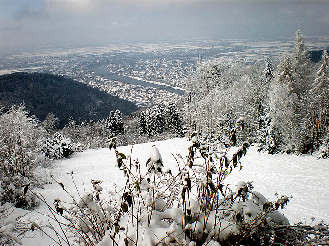 erster schnee 2010 Blick auf den Neckar004 Kopie