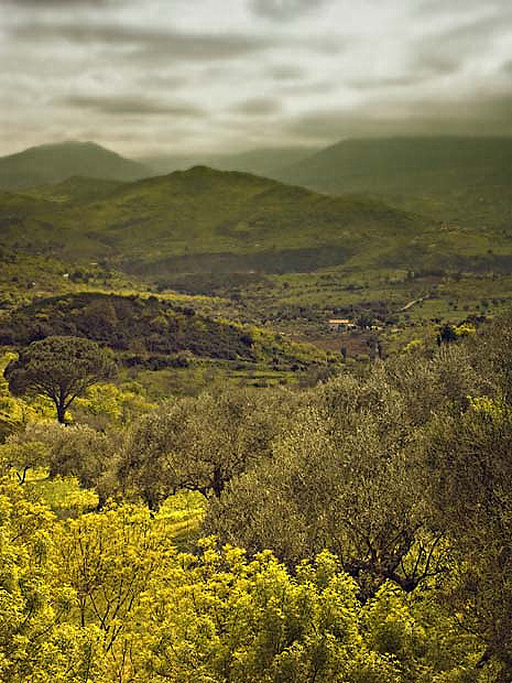 Landschaft bei Castelbuono- Sizilien 2004