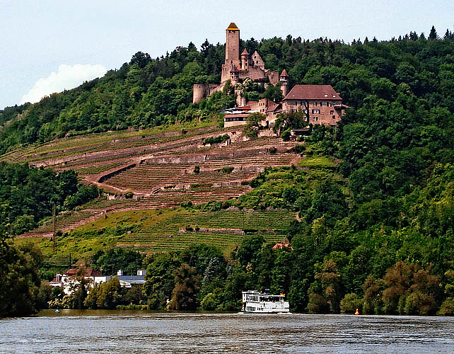 Burg am Neckar Kopie