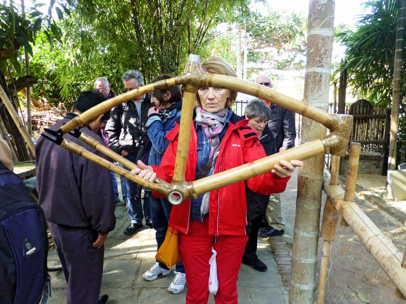 geiler bambusrahmenP1010750