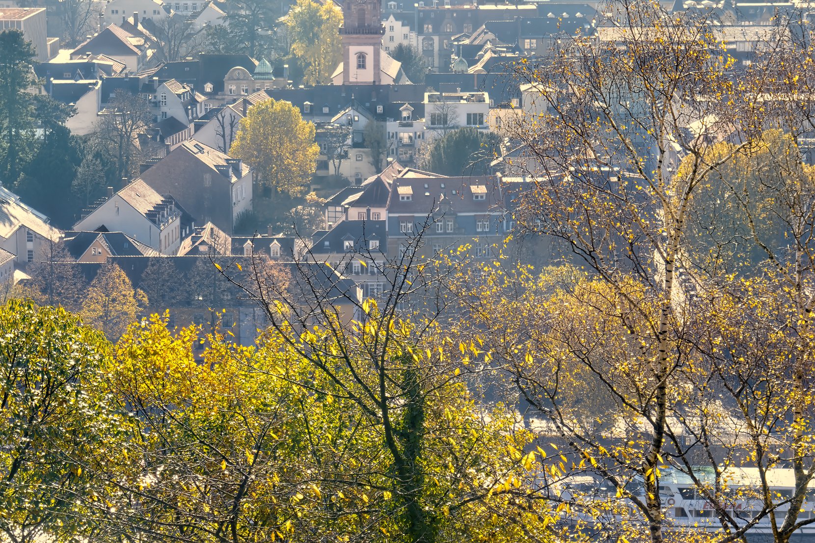 Blick auf Heidelberg im Herbst 2020