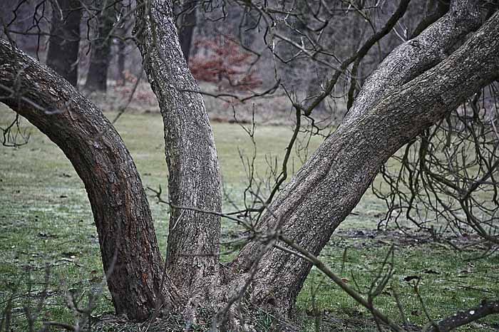 _MG_9652 Kopie