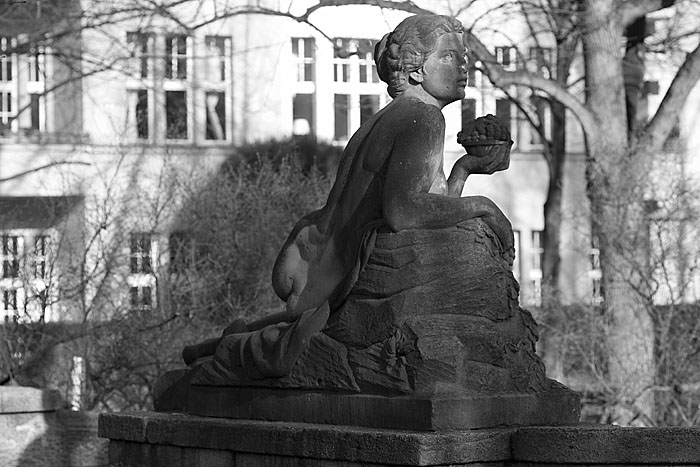 _MG_0395 Kopie
