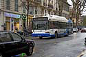 bus in nizza Kopie