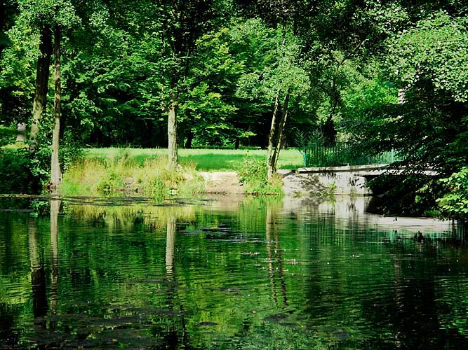 Im Schlosspark Buch Kopie