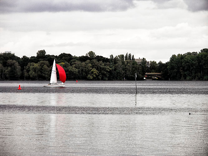 Segelboot und Blesshuhn, Tegel Kopie