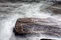 foam, acadia national park Kopie