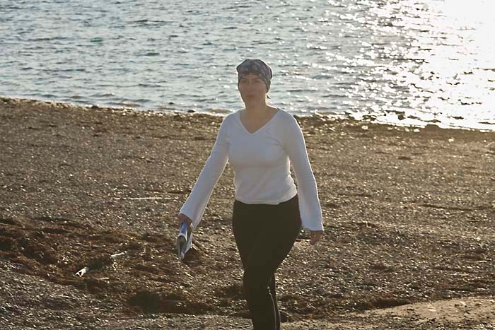 Beach, Campobello Island Kopie