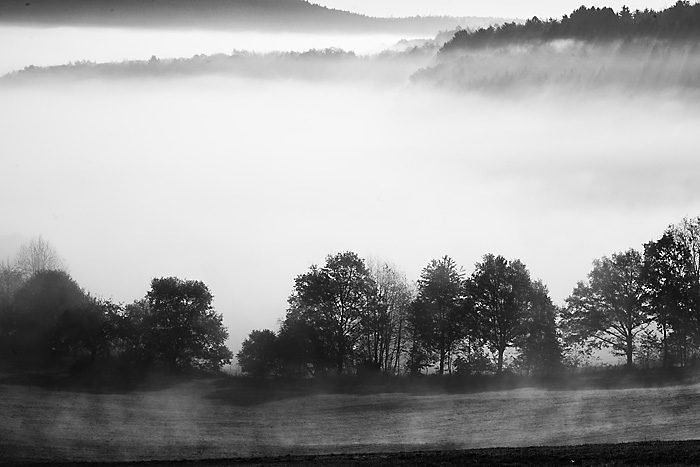 morgennebel Kopie