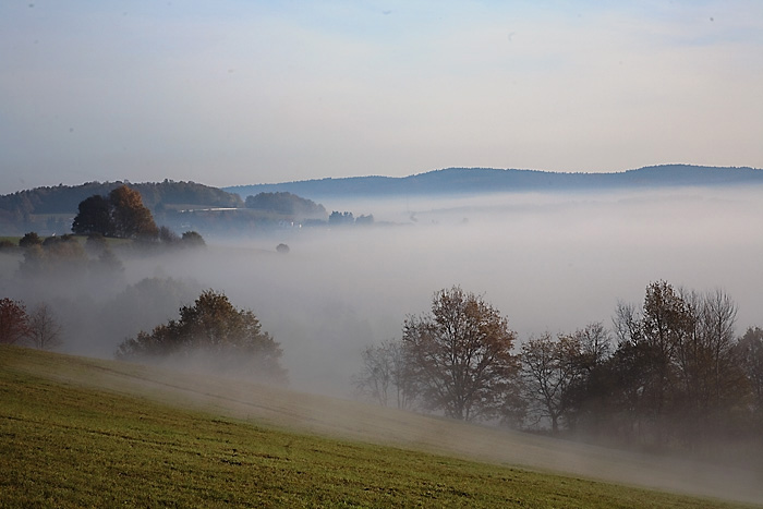 morgennebel unter der kreidacher hoehe Kopie