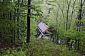 Covered Bridge Fiume Gorge 5287 Kopie