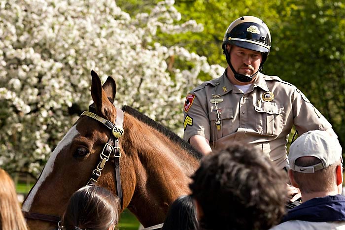 berittener polzist im boston common Kopie