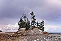 strand campobello island Kopie