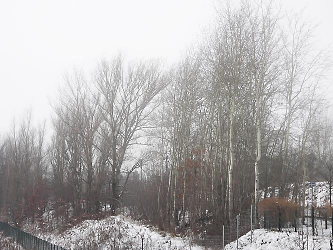 Winterlandschaft, Teltow Kopie