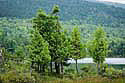 lake - acadia narional park Kopie