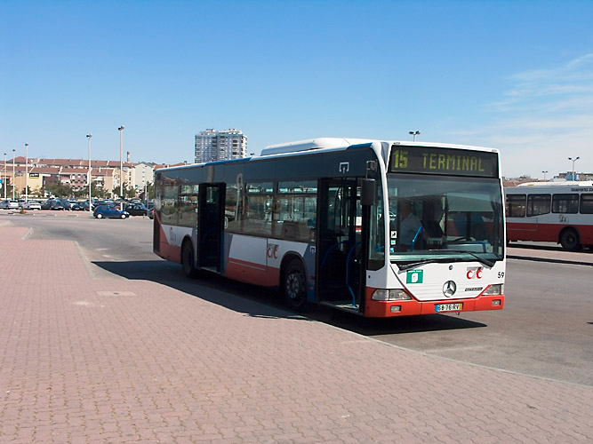 bus 59 Kopie