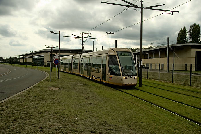 orleans2677