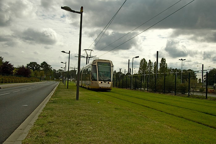 orleans2681
