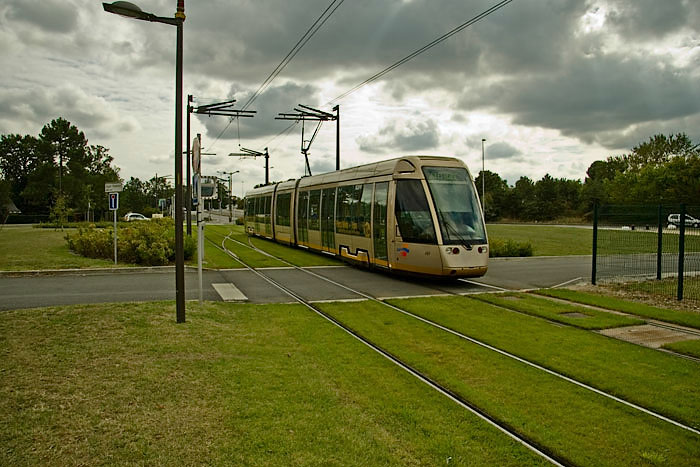 orleans2684