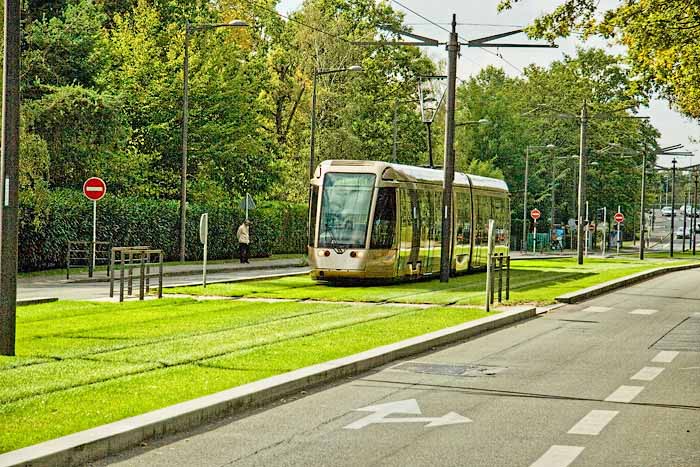 orleans2699