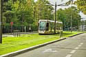 orleans2699