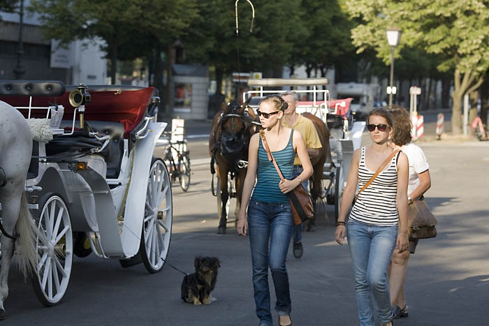 Kutschen unter den Linden mit Dackel Kopie