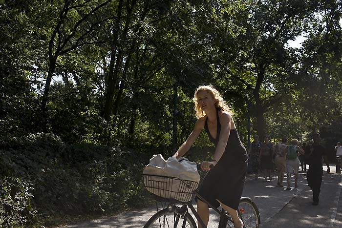 Leuchtendes Blondhaar Tiergarten Kopie