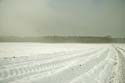 Snowfield