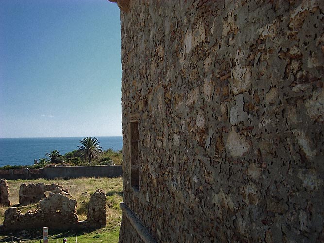 Torre Nao, Palmen und Meer Kopie