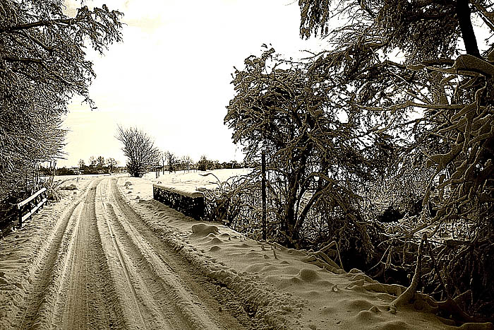 Idylle am waldrand Kopie