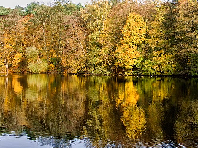 krumme lanke Kopie