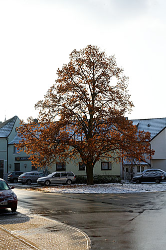 Oftersheim, Kreuzung Franz-Schubert Saarstrasse Kopie