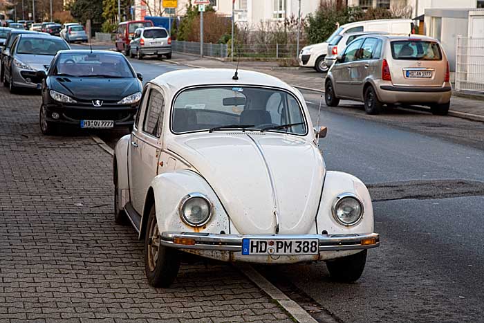 kaefer mannheimer strasse_MG_4187 Kopie