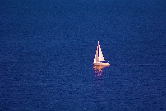 studie in blau_capo vaticanoG_1942 Kopie
