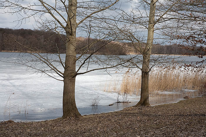 Der vereiste Jungfernsee Kopie