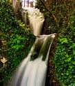 Rheinfall im Laub Kopie