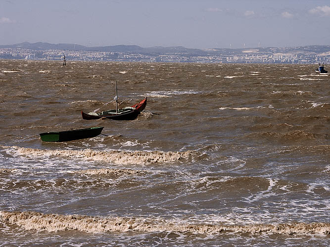 Wellen im Tejo Kopie