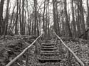 Waldweg bei Strausberg Kopie