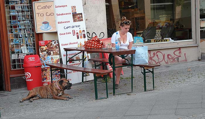 Frau und Boxer Kopie