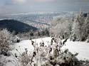 erster schnee 2010 Blick auf den Neckar004 Kopie