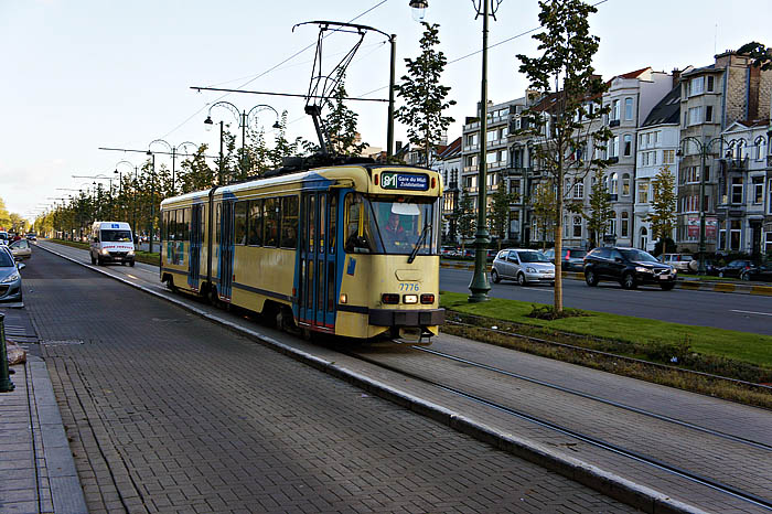 lINIE 81 Richtung Suedbahnhof Kopie