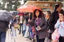 Bushaltestelle an der Strandpromenade Kopie