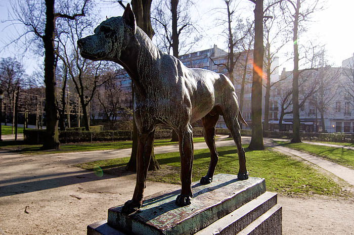 Hund im Jubelpark_DSC4122 Kopie