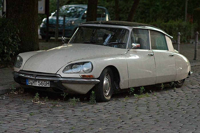 DS in Ruheposition_DSC5124 Kopie