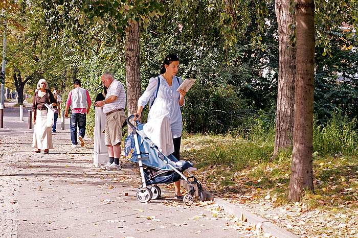 Buckower Damm_DSC0452_DxO Kopie