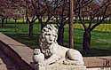 Löwe-im-Schlossgarten--Apri