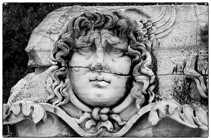Medusa_DSC9006 Kopie